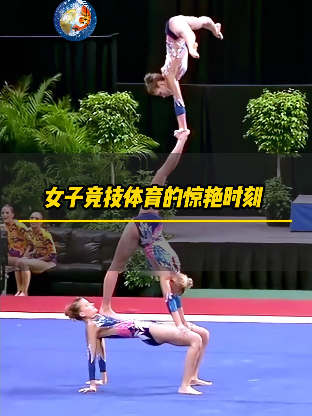 神仙对局！体操比赛过程堪比大片的简单介绍