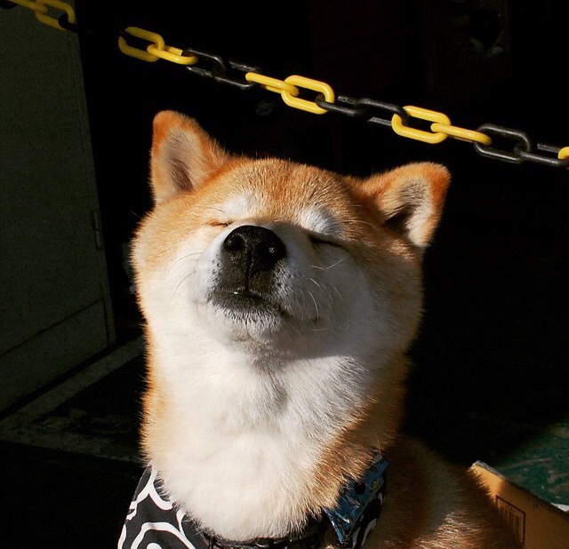 福登爆发,解码马德里竞技冲垮尼日利亚的战术密码