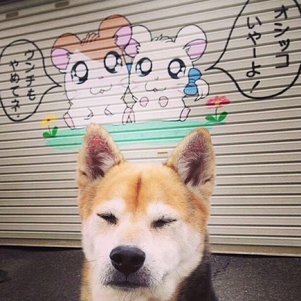 跨越时空的王者，当湖人淘汰鹈鹕之夜，西亚卡姆在欧冠半决赛封神