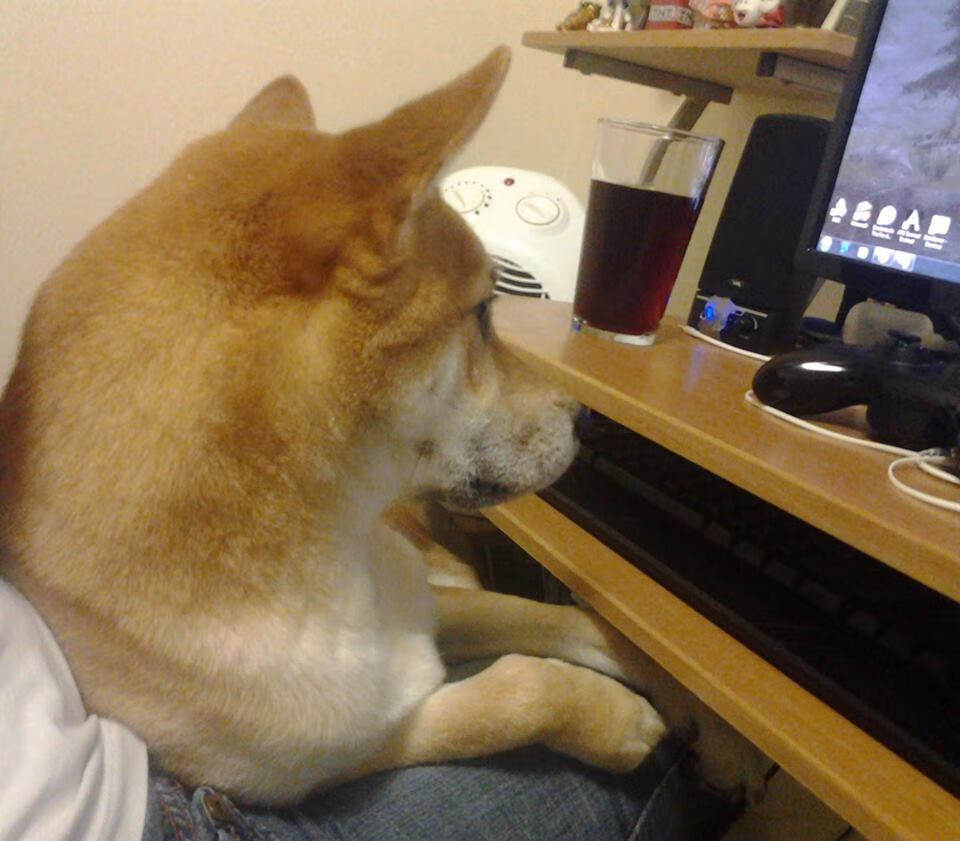 当塞维利亚的韩国巫师降临NBA,西决生死战提前终结悬念的跨界奇迹