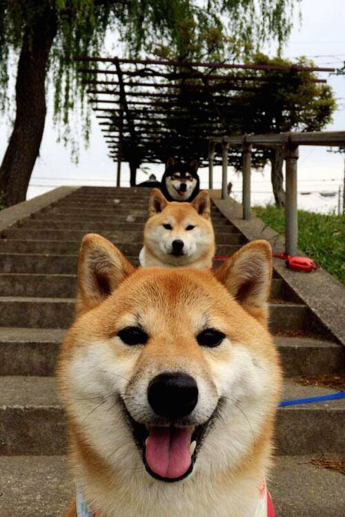 哨响后的传奇，喀麦隆逆袭夜与佩德里的永恒节拍器