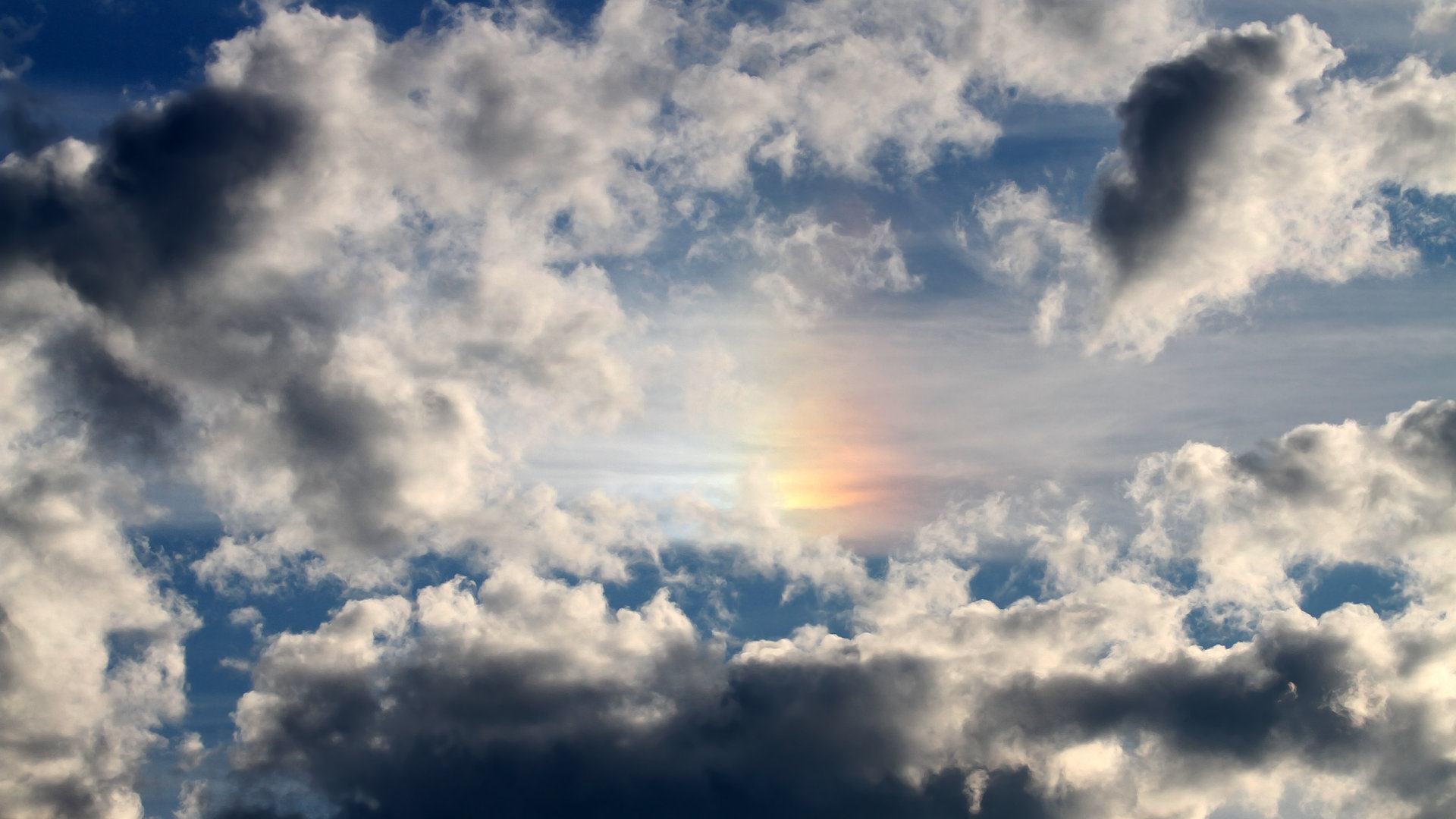 雷火电竞app-跨越太平洋的对话，当NBA雄鹿遇见CBA深圳队的想象图景